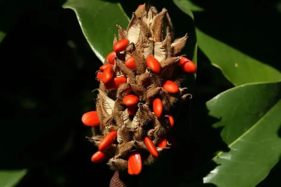 Por que conteúdo evergreen é indispensável no inbound marketing