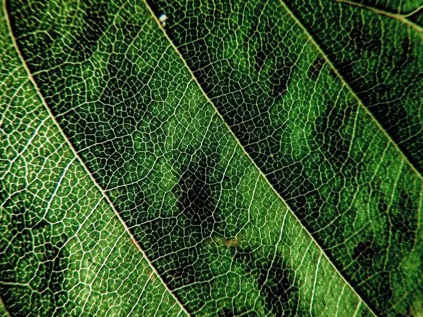 A relevância de atualizações regulares em sistemas web