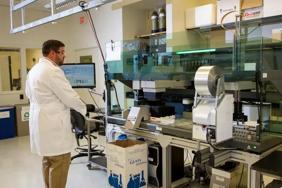 Como criar ilustrações que representam o DNA da sua marca