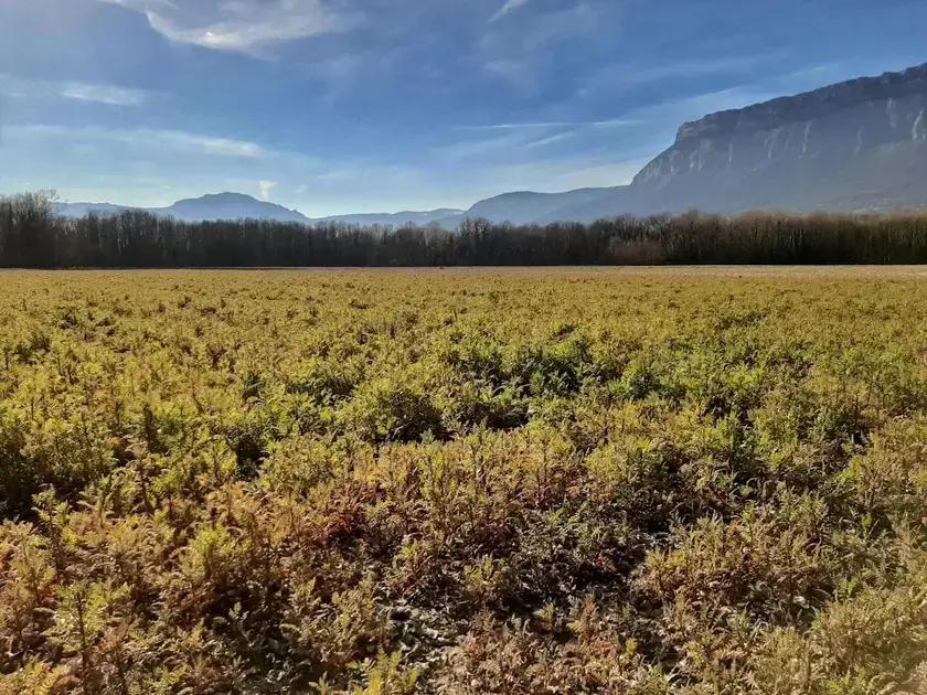 Como startups podem explorar microinfluenciadores