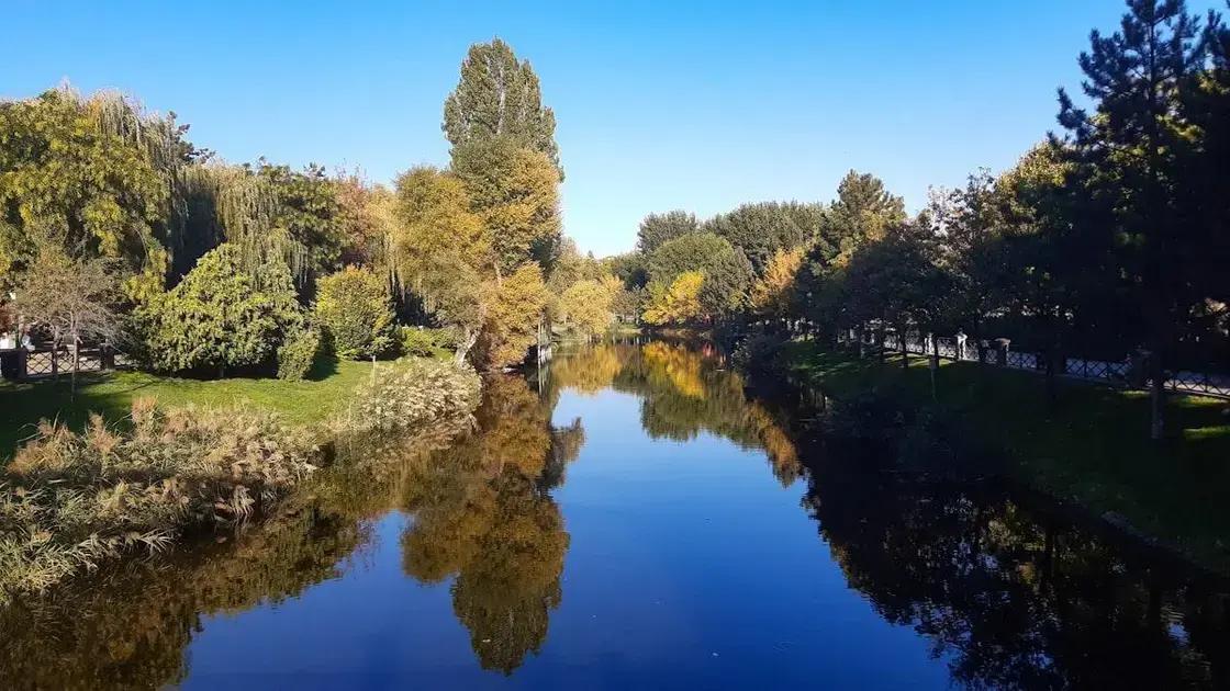 Por que usar mensagens SMS em campanhas automatizadas